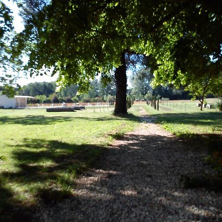 Domaine De Rochegude Villa Avignon Kültér fotó